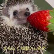 ヒメ日記 2025/03/21 22:53 投稿 みき 男爵