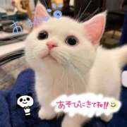 ヒメ日記 2025/03/22 08:13 投稿 みき 男爵