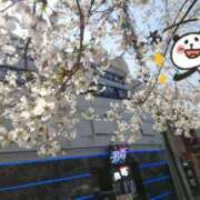 ヒメ日記 2025/04/04 15:02 投稿 みき 男爵