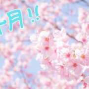 ヒメ日記 2025/04/05 08:20 投稿 みき 男爵