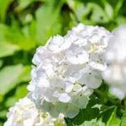 ヒメ日記 2025/05/30 11:23 投稿 みき 男爵