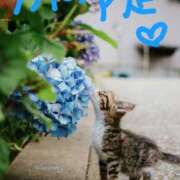 ヒメ日記 2025/07/02 17:27 投稿 みき 男爵