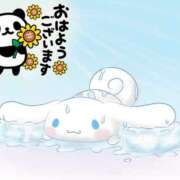 ヒメ日記 2025/09/03 06:52 投稿 みき 男爵