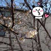 ヒメ日記 2026/03/25 09:03 投稿 みき 男爵