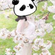 ヒメ日記 2026/04/04 15:23 投稿 みき 男爵