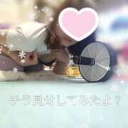 ヒメ日記 2024/12/22 18:03 投稿 西平 わかば HANA-okinawa-