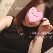 ヒメ日記 2025/02/12 20:50 投稿 西平 わかば HANA-okinawa-