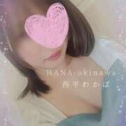 ヒメ日記 2025/03/23 15:57 投稿 西平 わかば HANA-okinawa-