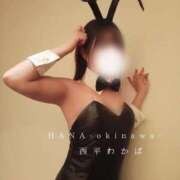 ヒメ日記 2025/04/01 12:03 投稿 西平 わかば HANA-okinawa-