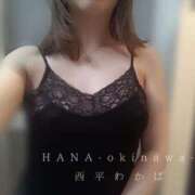 ヒメ日記 2025/04/13 15:03 投稿 西平 わかば HANA-okinawa-