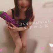 ヒメ日記 2025/04/16 11:33 投稿 西平 わかば HANA-okinawa-