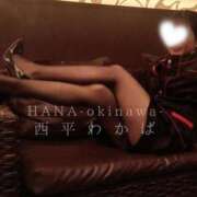 ヒメ日記 2025/04/16 20:49 投稿 西平 わかば HANA-okinawa-