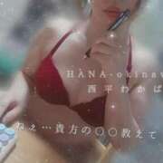 ヒメ日記 2025/04/20 15:03 投稿 西平 わかば HANA-okinawa-