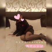 ヒメ日記 2025/04/21 21:34 投稿 西平 わかば HANA-okinawa-