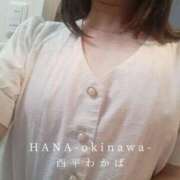 ヒメ日記 2025/05/18 11:03 投稿 西平 わかば HANA-okinawa-