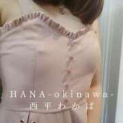 ヒメ日記 2025/05/20 07:42 投稿 西平 わかば HANA-okinawa-