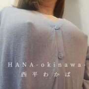 ヒメ日記 2025/05/27 09:03 投稿 西平 わかば HANA-okinawa-