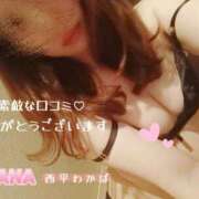 ヒメ日記 2025/07/30 15:18 投稿 西平 わかば HANA-okinawa-