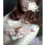 ヒメ日記 2025/08/04 22:18 投稿 西平 わかば HANA-okinawa-