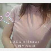 ヒメ日記 2025/11/12 07:48 投稿 西平 わかば HANA-okinawa-