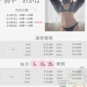 ヒメ日記 2026/02/10 21:57 投稿 西平 わかば HANA-okinawa-