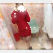 ヒメ日記 2026/02/20 19:03 投稿 西平 わかば HANA-okinawa-