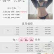 ヒメ日記 2026/02/24 19:42 投稿 西平 わかば HANA-okinawa-