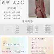 ヒメ日記 2026/03/22 21:03 投稿 西平 わかば HANA-okinawa-