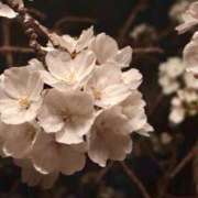 ヒメ日記 2025/04/04 07:02 投稿 あん☆エロすぎる美尻に釘付け ジャックと豆の木