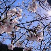 ヒメ日記 2025/04/04 20:51 投稿 あん☆エロすぎる美尻に釘付け ジャックと豆の木