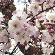 ヒメ日記 2025/04/08 20:12 投稿 あん☆エロすぎる美尻に釘付け ジャックと豆の木