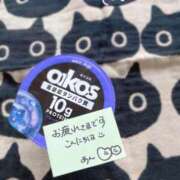 ヒメ日記 2025/04/15 14:00 投稿 あん☆エロすぎる美尻に釘付け ジャックと豆の木