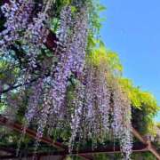 ヒメ日記 2025/04/30 07:57 投稿 あん☆エロすぎる美尻に釘付け ジャックと豆の木