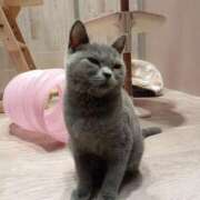 ヒメ日記 2025/01/31 21:56 投稿 あこ 元祖ぽちゃカワ倶楽部