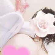 ヒメ日記 2025/04/12 14:06 投稿 あこ 元祖ぽちゃカワ倶楽部