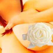 ヒメ日記 2025/05/15 15:46 投稿 あこ 元祖ぽちゃカワ倶楽部