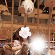 ヒメ日記 2025/05/01 00:32 投稿 あみ クラブ バレンタイン大阪