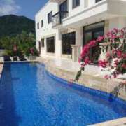 ヒメ日記 2024/12/18 11:02 投稿 ねね☆JACK CAST Ace(エース)