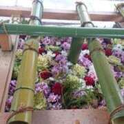 ヒメ日記 2025/01/08 10:51 投稿 ねね☆JACK CAST Ace(エース)