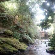 ヒメ日記 2025/03/08 10:50 投稿 ねね☆JACK CAST Ace(エース)