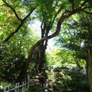 ヒメ日記 2025/03/15 10:48 投稿 ねね☆JACK CAST Ace(エース)