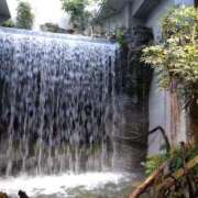 ヒメ日記 2025/03/19 10:55 投稿 ねね☆JACK CAST Ace(エース)