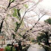 ヒメ日記 2025/04/10 13:57 投稿 ねね☆JACK CAST Ace(エース)