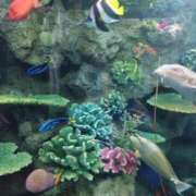 ヒメ日記 2025/05/29 11:08 投稿 ねね☆JACK CAST Ace(エース)