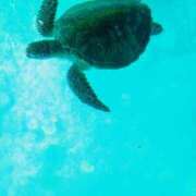 ヒメ日記 2025/06/16 10:14 投稿 ねね☆JACK CAST Ace(エース)