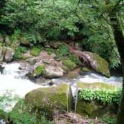 ヒメ日記 2025/09/08 11:01 投稿 ねね☆JACK CAST Ace(エース)