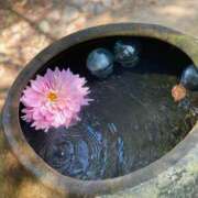 ヒメ日記 2025/10/08 10:54 投稿 ねね☆JACK CAST Ace(エース)