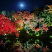 ヒメ日記 2025/11/14 16:31 投稿 ねね☆JACK CAST Ace(エース)