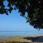 ヒメ日記 2025/12/30 10:53 投稿 ねね☆JACK CAST Ace(エース)