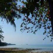 ヒメ日記 2026/01/09 11:03 投稿 ねね☆JACK CAST Ace(エース)